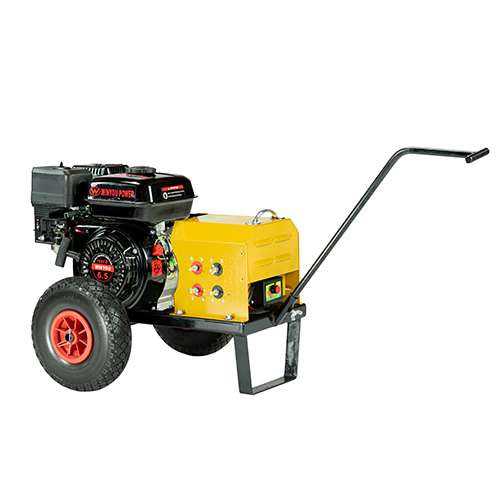 Winyou γεννήτρια ελαιοραβδιστικού 70A 6,5HP