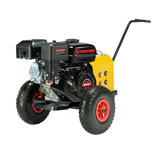 Winyou γεννήτρια ελαιοραβδιστικού 70A 6,5HP